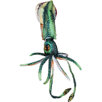 Squid 16" Cuttlefish Aquatic Plush Stuffed Animal Ocean Creature