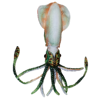 Squid 16" Cuttlefish Aquatic Plush Stuffed Animal Ocean Creature