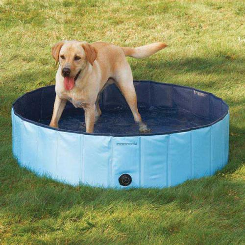 Dog Pools