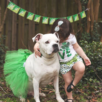 Green Christmas Dog Tutu Skirt (XS)