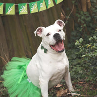 Green Christmas Dog Tutu Skirt (XS)