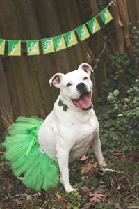 Green Christmas Dog Tutu Skirt (XS)