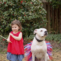 Red/White/Blue 4th Of July Dog Tutu Skirt (XS)