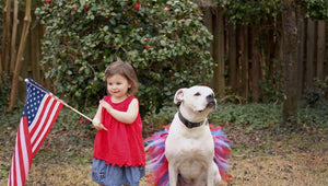 Red/White/Blue 4th Of July Dog Tutu Skirt (XS)