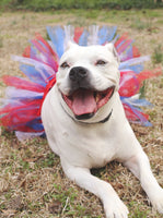 Red/White/Blue 4th Of July Dog Tutu Skirt (XS)
