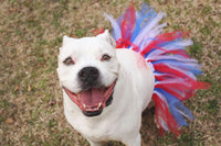 Red/White/Blue 4th Of July Dog Tutu Skirt (XS)
