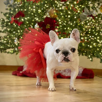 Red Christmas Dog Tutu Skirt (XS)