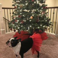 Red Christmas Dog Tutu Skirt (XS)