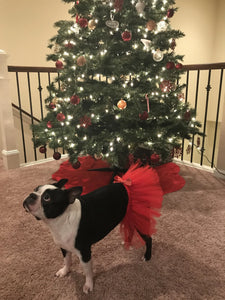 Red Christmas Dog Tutu Skirt (XS)