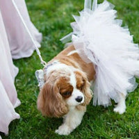 White Bridal Dog Tutu Skirt (XS)