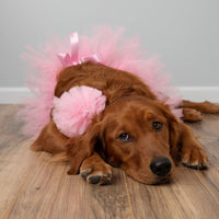 Light Pink Dog Tutu Skirt (XS)