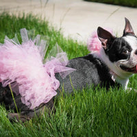 Light Pink Dog Tutu Skirt (XS)