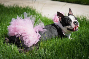 Light Pink Dog Tutu Skirt (XS)