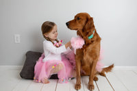 Light Pink Dog Tutu Skirt (XS)
