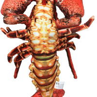 Lobster with Claws 18" Ocean Plush Stuffed Animal
