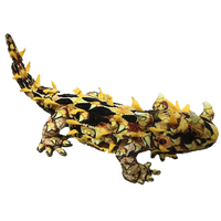 Horned Lizard 21.65" Desert Plush Stuffed Animal
