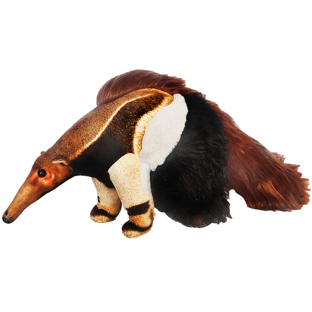 Giant Anteater 21.65