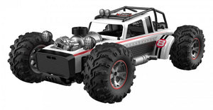 2.4G 1:10 4WD HIGH SPEED CAR with smoke function