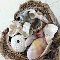 Seashell Treasures Puzzle