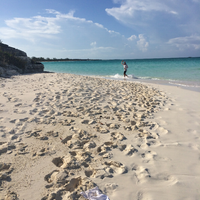 Abaco Beach Walk Puzzle