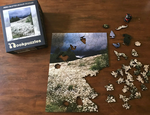 Mountain Side Puzzle