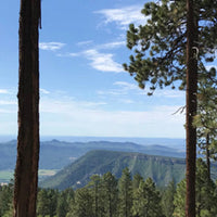 Room With a View Puzzle