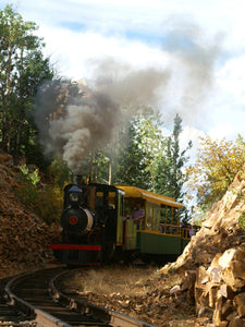 Cripple Creek Train Puzzle