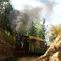 Cripple Creek Train Puzzle