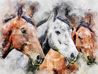 Horses Puzzle
