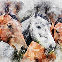 Horses Puzzle