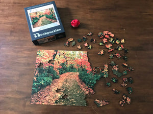 Fall Walk Puzzle