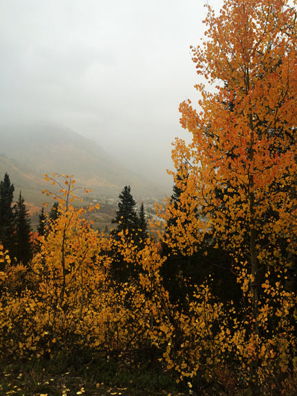 Mist over Silverton Puzzle