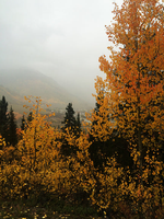 Mist over Silverton Puzzle
