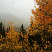 Mist over Silverton Puzzle