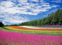 Flower Rainbow Puzzle
