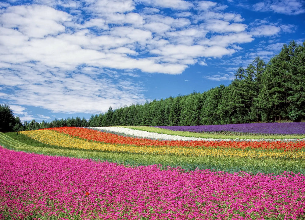 Flower Rainbow Puzzle