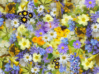 Spring Flowers Puzzle
