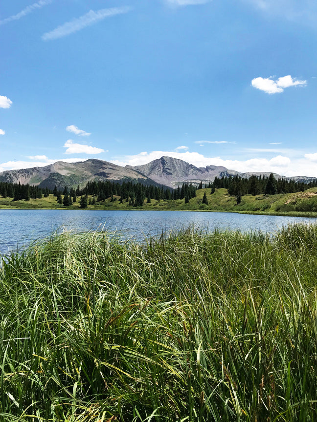 Little Molas Lake Puzzle