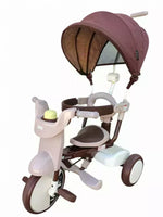 iimo 3-in-1 Folding Tricycle
