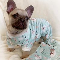 Ultra Soft Plush Minky Bedtime Bears Pajamas