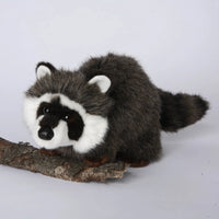 Ringwold Raccoon