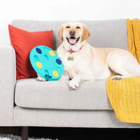 ZippyPaws Smarty Paws Puzzler
