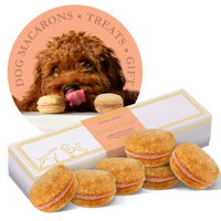 Dog Macarons - Box of 6 (Available in 12 Flavors)
