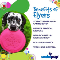 SP Puppy Bottle Top Flyer Durable Rubber Retrieving Frisbee for Puppies
