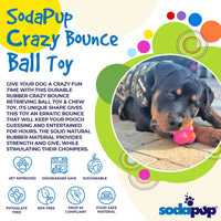 SP Crazy Bounce Ultra Durable Rubber Chew & Retrieving Toy
