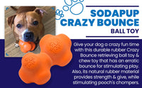 SP Crazy Bounce Ultra Durable Rubber Chew & Retrieving Toy
