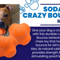 SP Crazy Bounce Ultra Durable Rubber Chew & Retrieving Toy