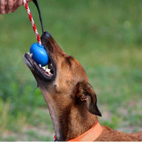 USA-K9 Cherry Bomb Durable Rubber Chew Toy, Treat Dispenser, Reward Toy, Tug Toy, and Retrieving Toy
