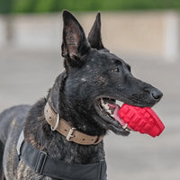 USA-K9 Grenade Durable Rubber Chew Toy & Treat Dispenser
