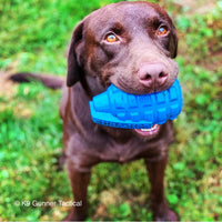 USA-K9 Grenade Durable Rubber Chew Toy & Treat Dispenser
